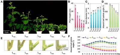 Light intensity store for seedlings